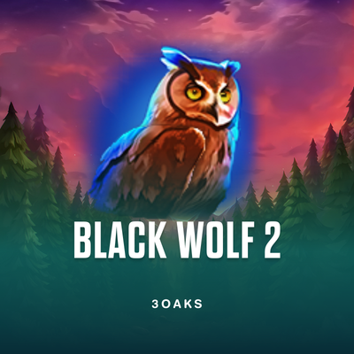 Black Wolf 2