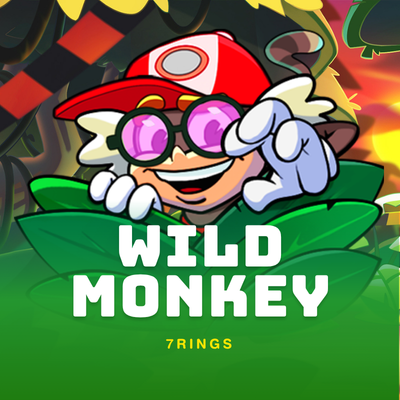 Wild Monkey