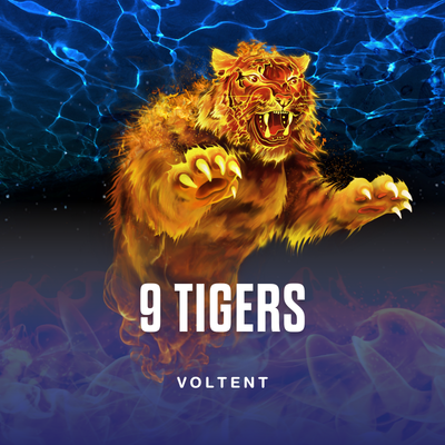 9 Tigers