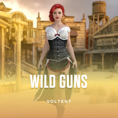 Wild Guns